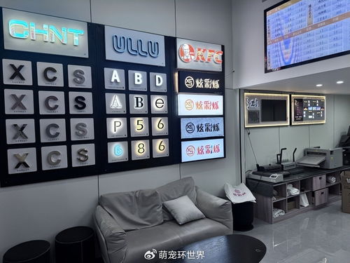 塑造专属品牌形象,杭州炫彩烁图文快印用专业赋能企业成长